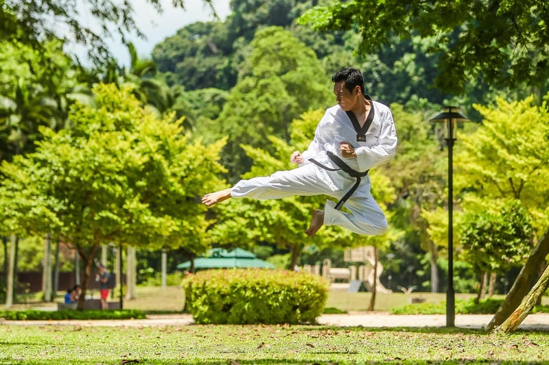 Chen Style Kung Fu